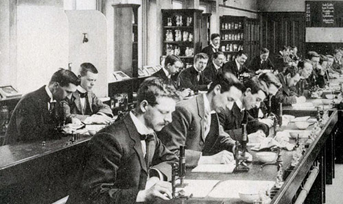 students working in pathology lab 1900